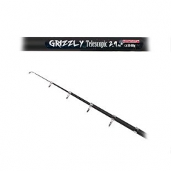Teleskopický prut GRIZZLY 3m 50-100 g