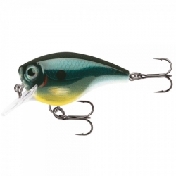 Rapala Jointed Floating J11 ROL - kopie