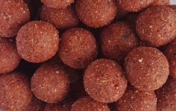 Raptor boilies 20 mm